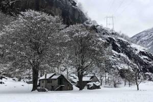 Rustico Gin Avegno Torbecc, Vallemaggia, Tessin, pozimi