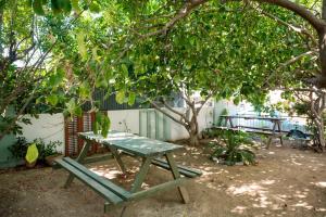 una mesa de picnic bajo un árbol en un patio en Diamante Guest House-Stone Room, en Famagusta