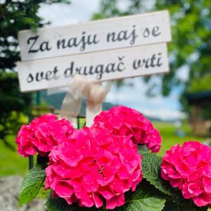 Zahrada ubytování Rooms & Apartment ZALA Airport shuttle option