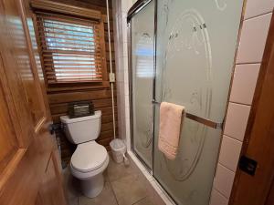 a bathroom with a toilet and a shower at Cabin 20 in Almont +15 photos