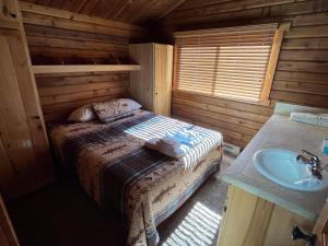 a bedroom with a bed and a sink in a cabin at Cabin 20 in Almont