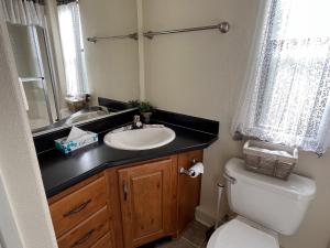 a bathroom with a sink and a toilet at Cabin 40 in Almont