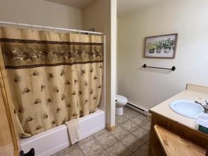 a bathroom with a shower curtain and a sink at Cabin 28 in Almont +14 photos