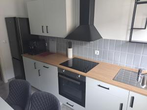 Galeriebild der Unterkunft ZigZag Apartments in Mayen