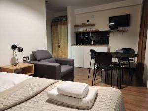 TV a/nebo společenská místnost v ubytování Walk to Ski Lift-1BR-Studio-Balcony-Parking
