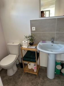 une salle de bain avec un lavabo, des toilettes et un miroir dans l'établissement Cocoun, à Cambrai