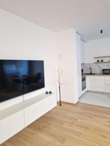 Afbeelding uit fotogalerij van Apartman Panonija in Vinkovci