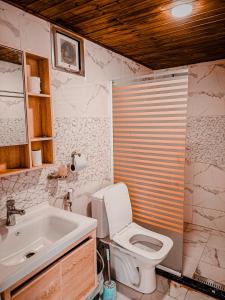 a bathroom with a toilet and a sink at Rum Lara Luxury Camp in Disah