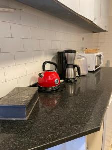 un bollitore per tè rosso su un bancone in cucina di Agasajo V a Córdoba
