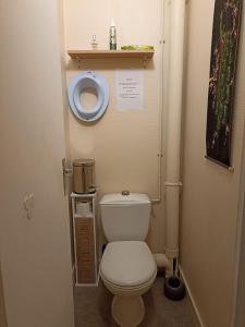 a small bathroom with a toilet and a sink at La Salamandre -appartement in Salbris +18 photos