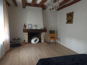 a living room with a fireplace and a chandelier at La Salamandre -appartement in Salbris