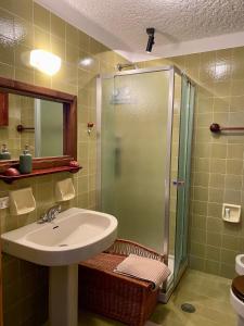 a bathroom with a sink and a shower at La casa nel verde, un nido accogliente con vista in Folgarida +14 photos