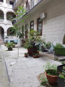 Cozy Bella Apartment 1064 Budapest, Izabella utca 74 kép - 2