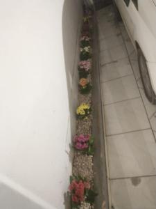 锡诺普Quarto individual com 2 camas box de solteiro hostel 940的墙上一排花