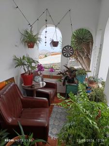 Acoran Family Guests House Firgas with Included Morning Yoga Practice的休息区