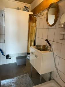 a bathroom with a sink and a mirror at Graine de Paradis - Tiny House in Le Landeron +21 photos