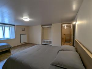 ein Schlafzimmer mit einem großen Bett in einem Zimmer in der Unterkunft Campagne, confort moderne : Grand appartement rénové pour 8 pers. avec terrasse et jardin spacieux - FR-1-585-135 in Han-lès-Juvigny