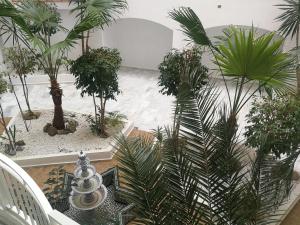 Zahrada ubytování Apartamento Playa Velilla Park II