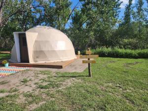 Zahrada ubytování D2 Dino Dome- 2 Dbl Beds - Pet friendly