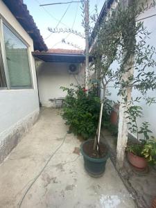 Το κτήριο όπου στεγάζεται  η παραθεριστική κατοικία