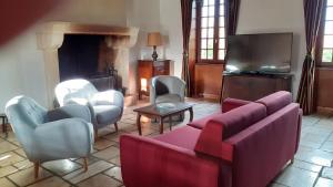a living room with a couch and chairs and a television at Gite Le Grand Chevrier in Châteauneuf-sur-Cher
