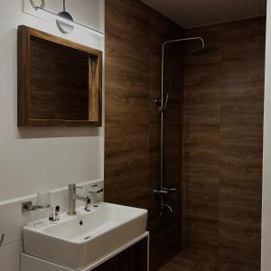 a bathroom with a sink and a shower at Boutique hotel mestia in Mestia +54 photos