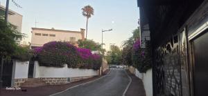 Okolina ili četvrt u blizini apartmana