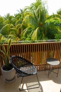 Zahrada ubytování Casa Peregrino Holbox