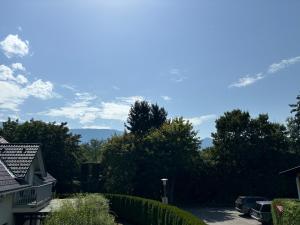 度假屋周边自然景观