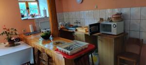 a kitchen with a counter with a microwave on it at Rancho u Bolka in Miedzygorze