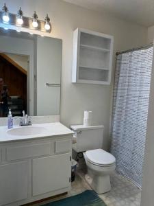 une salle de bain avec toilettes, lavabo et douche dans l'établissement Pet Friendly Condo near Loon with AC, à Lincoln