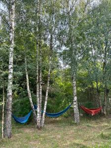 Fotografia z galérie ubytovania Jak u babci na wsi v destinácii Siemichocze