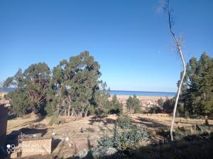 Příroda nedaleko venkovského domu