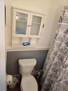 a bathroom with a toilet and a shower curtain at Unit 1 at Oilgate at Oakdale in Akron +30 photos