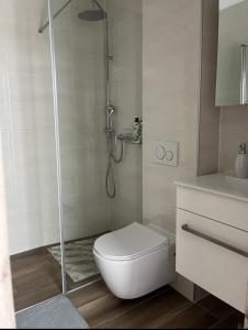 un bagno con wc e doccia di Apartmani Antonia a Račišće Altre 47 foto
