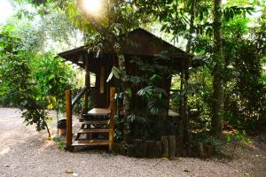a small wooden cabin with a staircase in a forest at Casinha da Mata in Chapada dos Guimarães