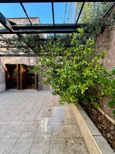メンドーサにあるCasa Eusebio Blanco con patio parrilla y cochera en el centro de Mendozaの建物脇の植物