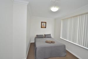 a bedroom with a bed and a window at Villa Palazzo 3 - Kalbarri, WA in Kalbarri