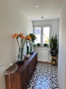 Mynd úr myndasafni af Gästehaus LINH í Edenkoben