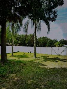 two palm trees in a yard with a white fence at Island 1 in Kissimmee