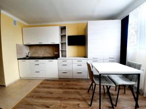 Kuchyň nebo kuchyňský kout v ubytování Hotel SiLL