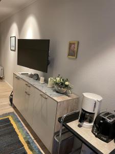 Η κουζίνα ή μικρή κουζίνα στο Haus Seelord Wohnung 38