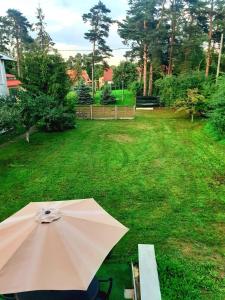 Zahrada ubytování Hotel K.V.N.