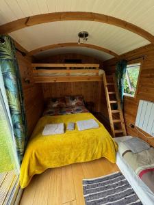 a bedroom in a tiny house with a bunk bed at unique sheperds hut private hot tub, ensuite & kitchenette in Clodock