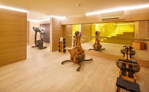 Fitness centrum a/nebo fitness zařízení v ubytování Swiss Wine by Fassbind