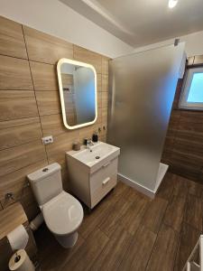 a bathroom with a toilet and a sink and a mirror at Casa Lia Voroneț in Voroneţ +31 photos
