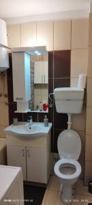 Koupelna v ubytování Apartman LENA + 22 fotografií