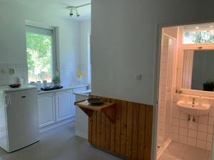 a bathroom with a sink and a toilet and a window at Mazsola in Bélapátfalva +51 photos