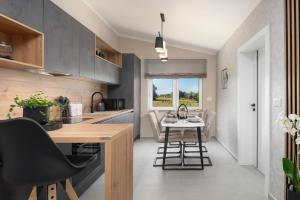 Afbeelding uit fotogalerij van Apartment Vala Vrsar in Vrsar +54 foto's