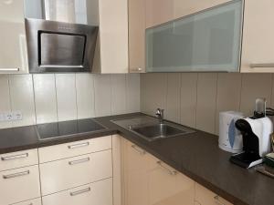 Kuchyňa alebo kuchynka v ubytovaní Wulka Häuschen